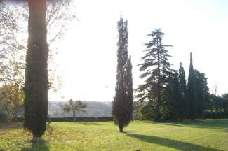 DSC04831.JPG